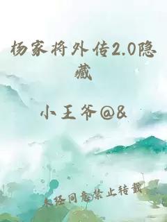杨家将外传2.0隐藏