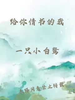 给你情书的我