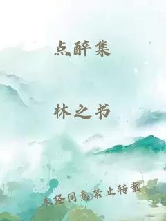 点醉集