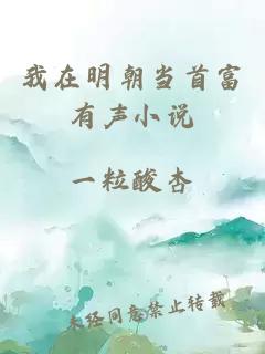 我在明朝当首富有声小说