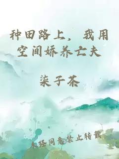 种田路上，我用空间娇养亡夫