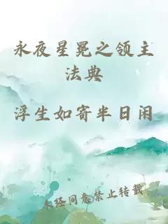 永夜星冕之领主法典