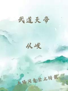 武道天帝